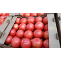 Тепличные розовые помидоры томаты с комбината оптом