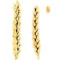 Семена пшеницы озимой Юка