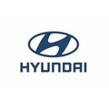 Гидромотор  31N7-10011  для экскаватора Hyundai R250LC7