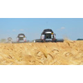  Агро Компания купит сельскохозяйственные предприятия в Донецкой и Херсонской   областях 