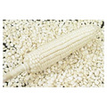 Белая кукуруза без ГМО из Танзании