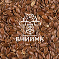 Семена льна масличного ФГБНУ ФНЦ ВНИИМК ВНИИМК 620
