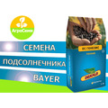 Семена гибридов подсолнечника Bayer Байер
