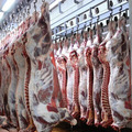 Производство и оптовые продажи мяса в ассортименте